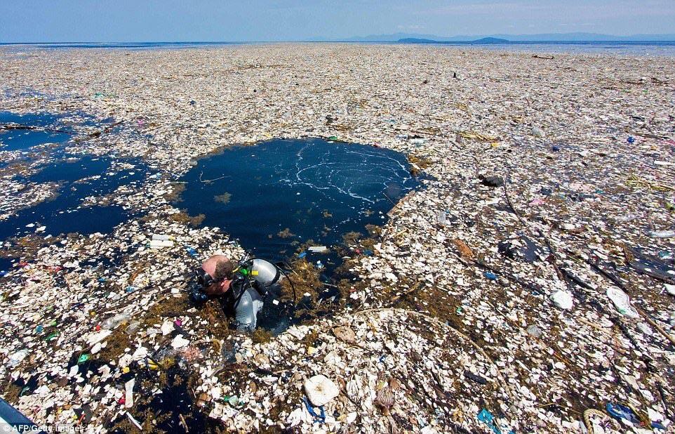 Как образовалось большое мусорное пятно на поверхности Тихого океана? Какие есть методы борьбы с ним?